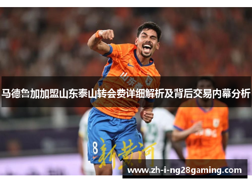 马德鲁加加盟山东泰山转会费详细解析及背后交易内幕分析