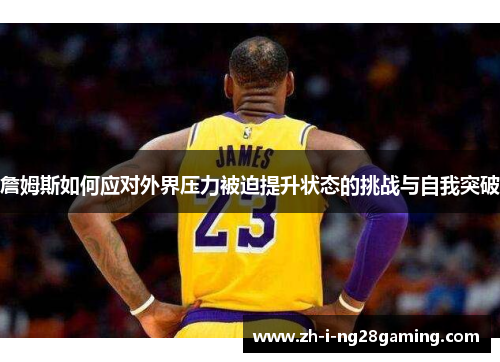 詹姆斯如何应对外界压力被迫提升状态的挑战与自我突破