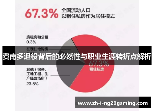 费南多退役背后的必然性与职业生涯转折点解析